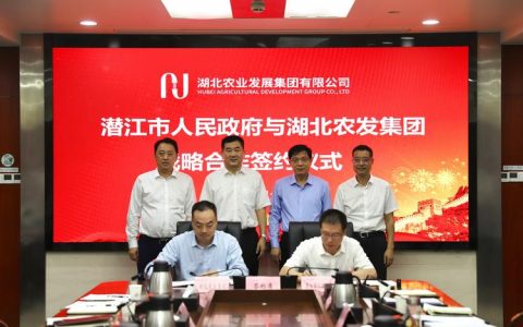 潜江农发交投集团：党建引领聚民心 服务惠民暖冬行