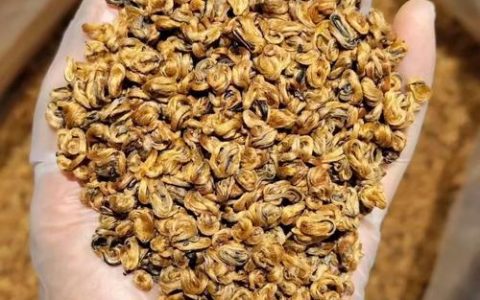 [湖北日报]大学生返乡养螺蛳，年产值三千万元  潜江“田螺姑娘”点螺成金