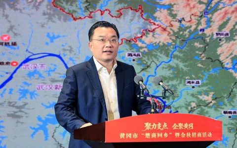 李军杰在参加红安、黄州代表团审议