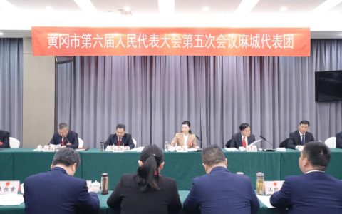 刘洁参加黄梅（龙感湖）、罗田代表团审议