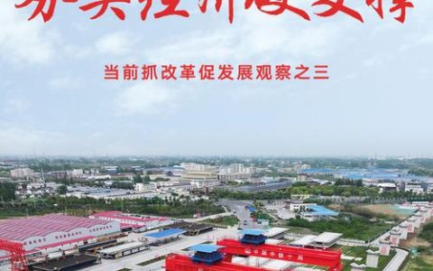 做实做强项目支撑 推动投资扩量提质