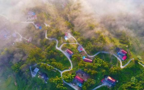 “五网”织就山乡新图景