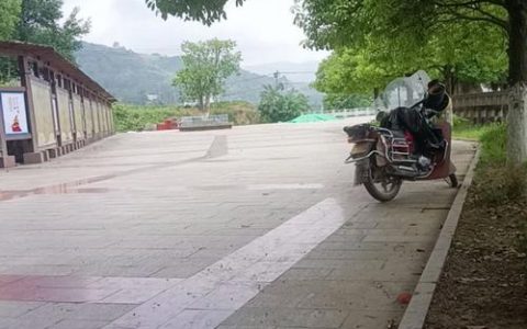 赤壁市赤马港街道杨泗庙村道路“焕新”惠民生