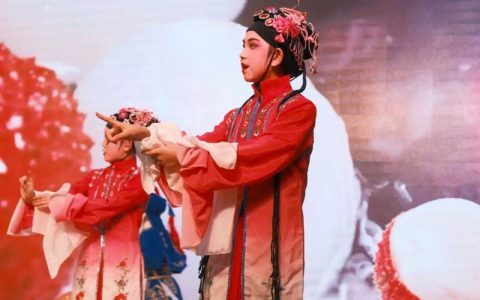 国粹芬芳绽新枝——武汉市校际戏曲争霸赛暨校园戏曲成果展圆满落幕