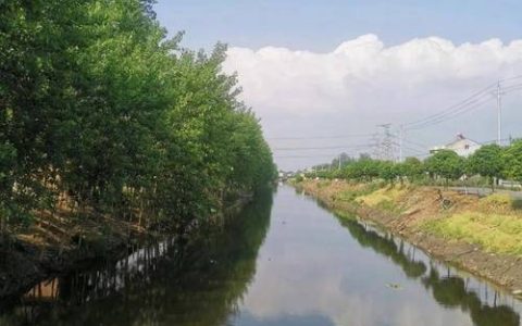 熊口镇持续擦亮生态宜居乡村底色