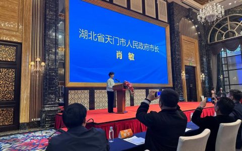 肖敏参加市九届人大六次会议竟陵代表团审议 立足优势 主动作为 当好高质量发展排头兵