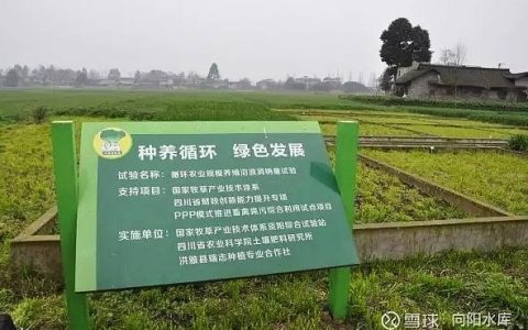 长了8年杂草的478亩土地 长出一条绿色循环产业链