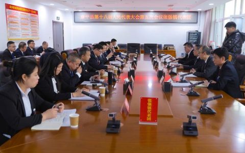 洪再林参加民进、农工党、共青团、总工会、社会福利和社会保障界别委员分组讨论