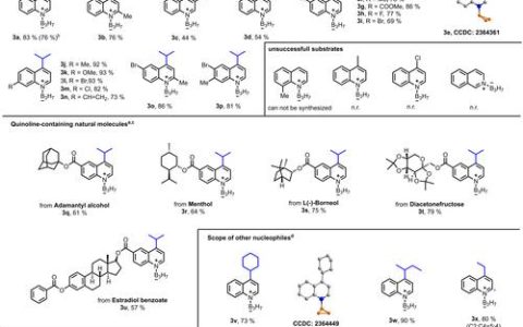 化学与化工学院钟芳锐吴国骄团队在环酮骨架编辑构建三维药物分子研究取得新进展