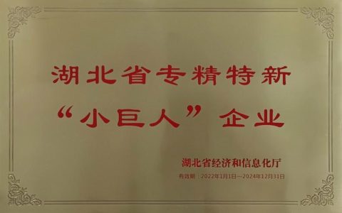 武汉“小巨人”托举“大国重器”