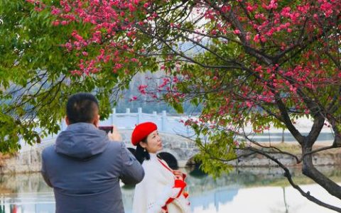 武汉赏梅热潮持续，市民游客“踏香而来”