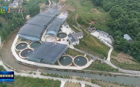 “十堰市设施渔业产业链建设看成效”系列报道④ | 养护资源谋长远