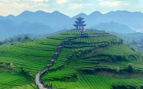 宣恩：打造大山里的浪漫之城