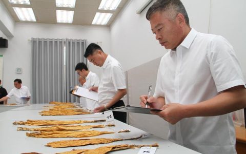 赤壁市烟草专卖局开展“133”数字化工具讲解演练