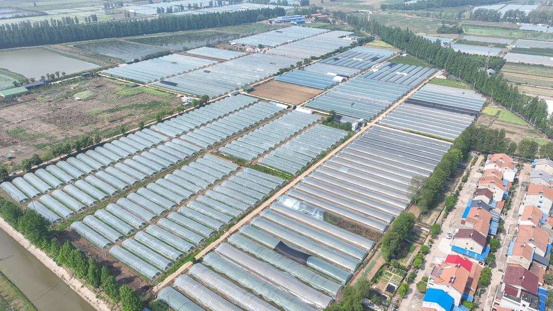 “荆楚优品”出村记：首衡城里的家乡味道