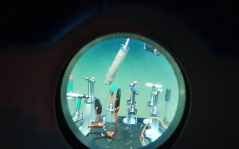 华中农业大学联合海洋三所海洋生物遗传资源重点实验室揭示微生物与病毒在深海冷泉中的生存博弈