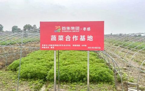 “荆楚优品”出村记：首衡城里的家乡味道