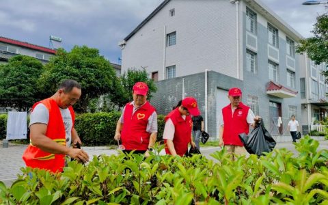 崇阳县肖岭乡开展“清洁家园”行动 持续提升城乡人居环境