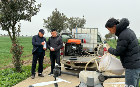 寒潮来袭 荆州农技专家田间“把脉开方”