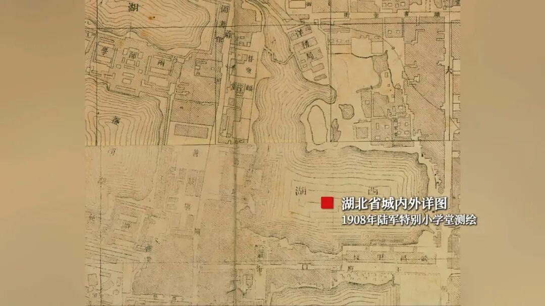 100多年前，武汉埋下了一粒“神奇的种子”！