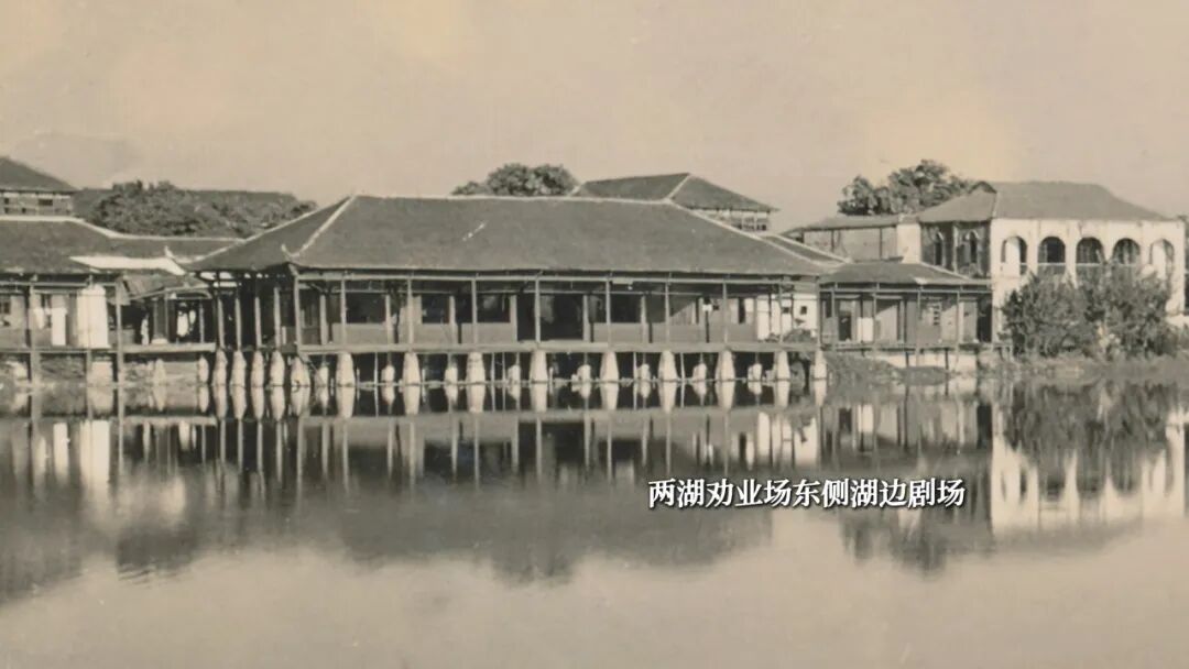 100多年前，武汉埋下了一粒“神奇的种子”！