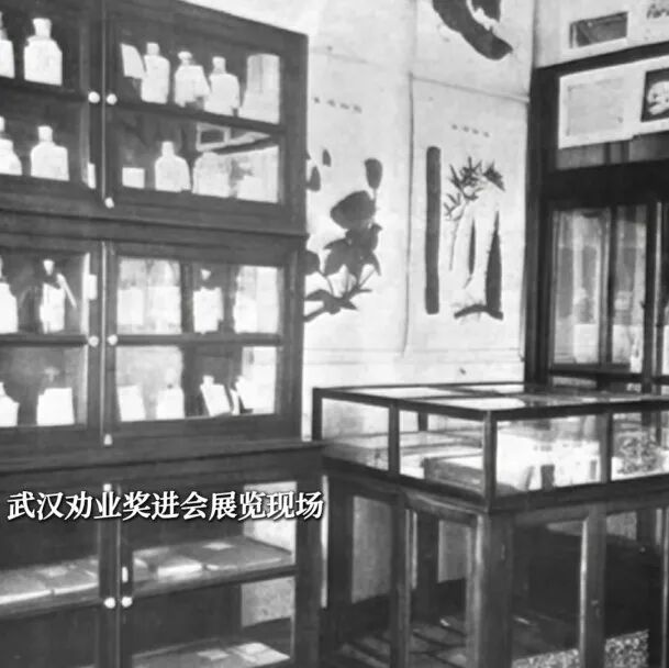 100多年前，武汉埋下了一粒“神奇的种子”！