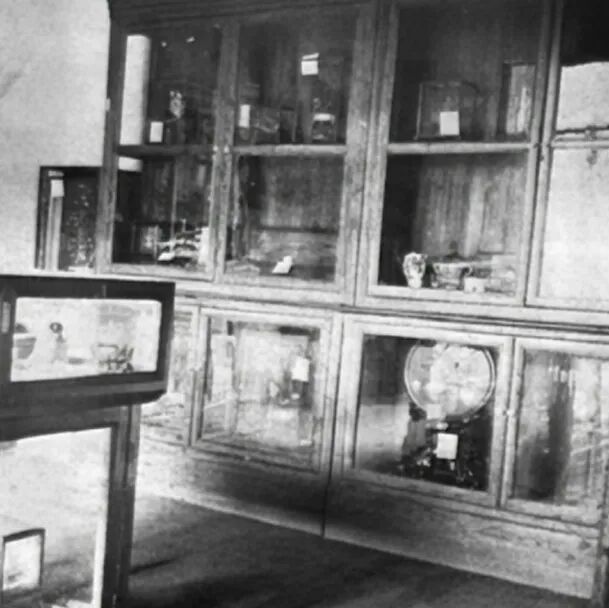 100多年前，武汉埋下了一粒“神奇的种子”！