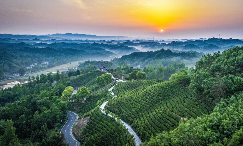 两座山，一条路！“闵黑子”的二十年“共富”笔记