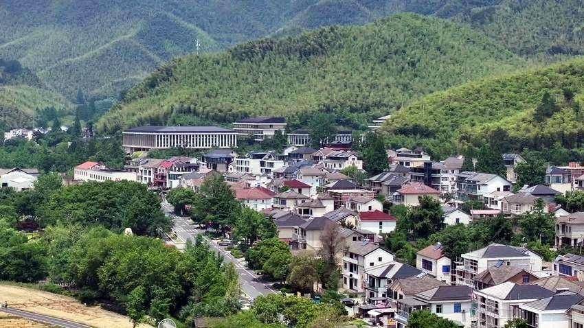 两座山，一条路！“闵黑子”的二十年“共富”笔记