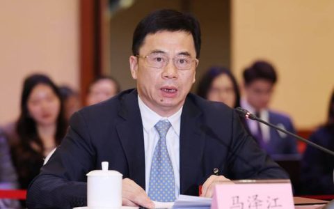 马泽江参加市五届人大六次会议随州高新区代表团审议