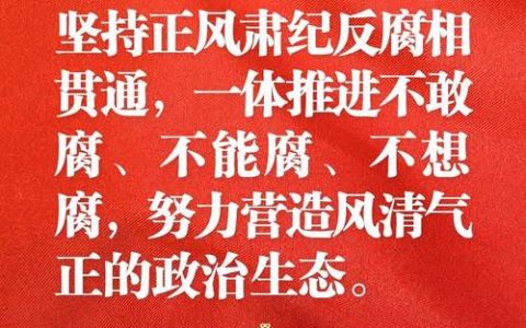 压实管党治党责任　持续深化政治监督　为黄石高质量发展提供坚强政治保障