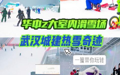 “冰天雪地的湖北热度 | 支点面对面：对标世界——湖北冰雪的长坡厚雪