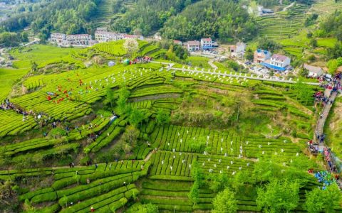 英山：绿水青山赋能健康中国实践