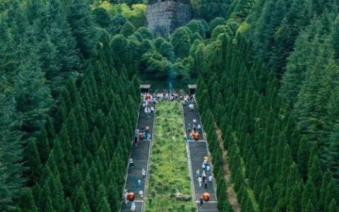 神农架挺起生态高地