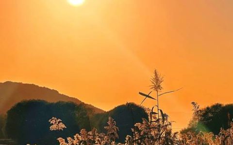 和美水乡 冬日暖阳