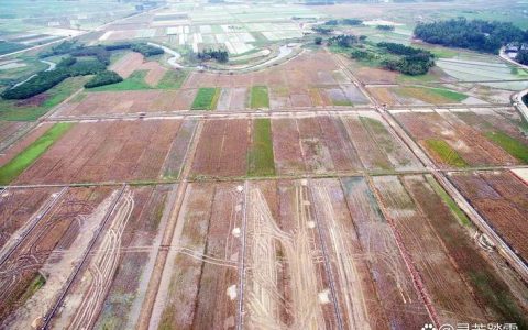 檀林镇严守耕地保护红线