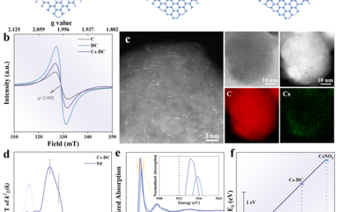 成果登《Nature》 华中师范大学PLAC实验室Topmetal芯片首次直接观测米格达尔效应
