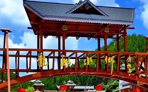 利川龙船水乡景区邀专家共谋文旅融合良策