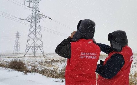 各级党组织和党员以雪为令 天门筑牢寒潮防御“红色防线”