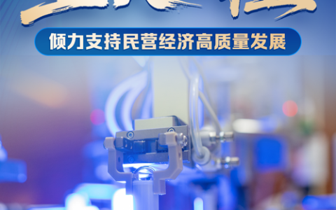 聚势求变 攀高向新 湖北民营企业拓展新技术新业态新模式