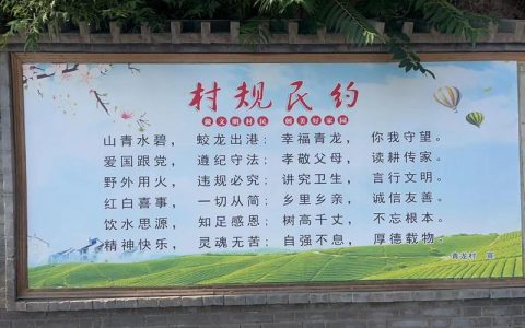 不靠“硬管”靠“共治”！看襄阳这9个村怎么把人心聚起来