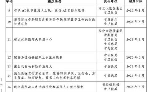 湖北启动建设智慧化现代医疗体系