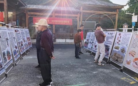 非遗传文脉 黄冈启新章