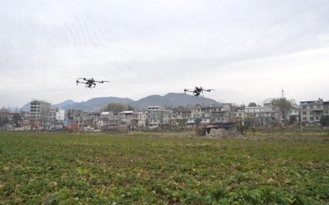 英山县南河镇：农技“赋能”镇村合力“护航”油菜越冬