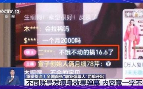 弹幕水军毁诚信
