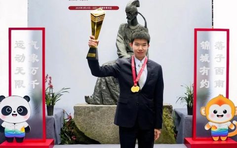 中国围棋甲级联赛总决赛在赤壁开赛 弘扬优秀传统文化 擦亮城市金字名片