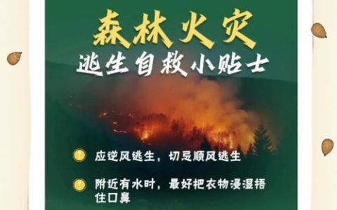 人防+物防+技防 通山筑起森林“防火墙”