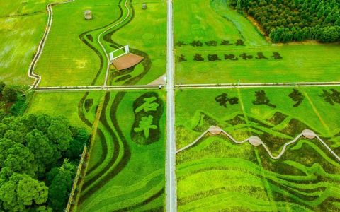 【奋进建支点·市州进行时】控源截污+生态修复+绿色转型 监利绘就洪湖西岸生态新图景