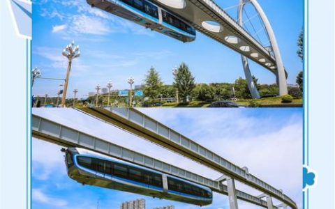 乘空轨瞰光谷，多国代表沉浸式感受武汉科创活力