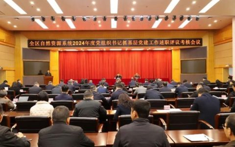 2025年度党委（党组）书记抓基层党建工作述职评议会议召开